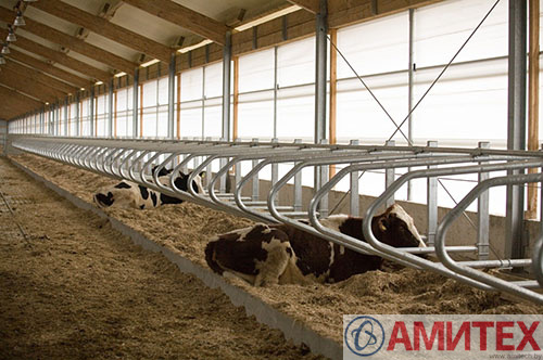 Стойловое оборудование для коров