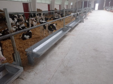 Групповая поилка 2600х500