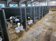 Бокс из ПВХ для телят, 2000х1200х1000, с выдвижными стенками