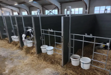 Бокс из ПВХ для телят, 1500х1200х1000, с выдвижными стенками